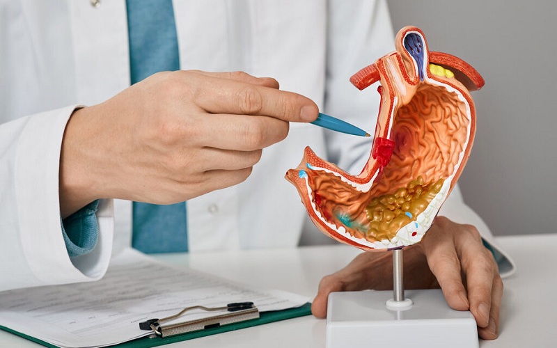 Scope Of Gastroenterology